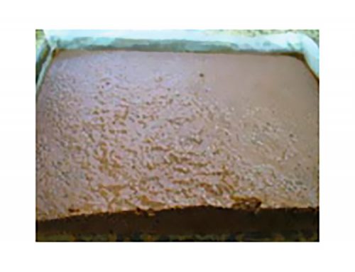 Cake Chocolate Arcólor®